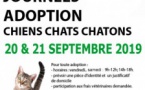 We adoption La Patte de l'Espoir