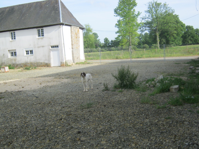 La Foucaudière, un lieu unique pour vos protégés La Foucaudière, un lieu unique pour vos protégés