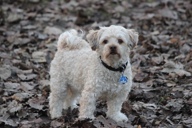 Tout beau, tout propre ! Tout beau, tout propre !