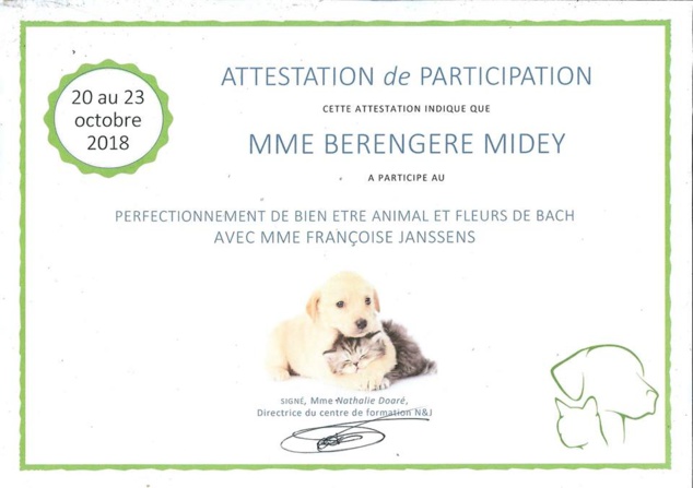 Perfectionnement Massage canin et fleurs de Bach Perfectionnement Massage canin et fleurs de Bach