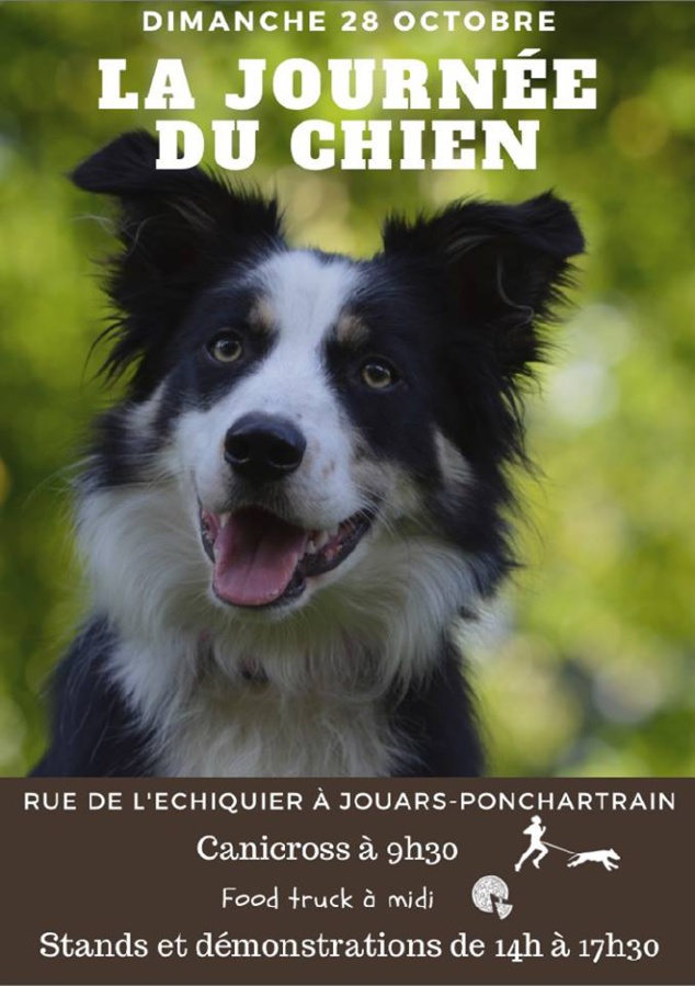 Journée du chien Journée du chien