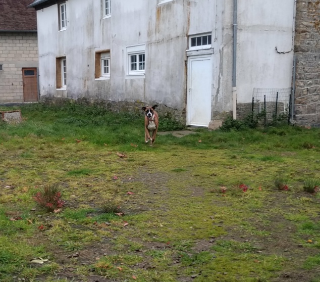 Premier Week end en pension pour Olya Premier Week end en pension pour Olya