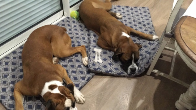 Ola et Orbane Ola et Orbane