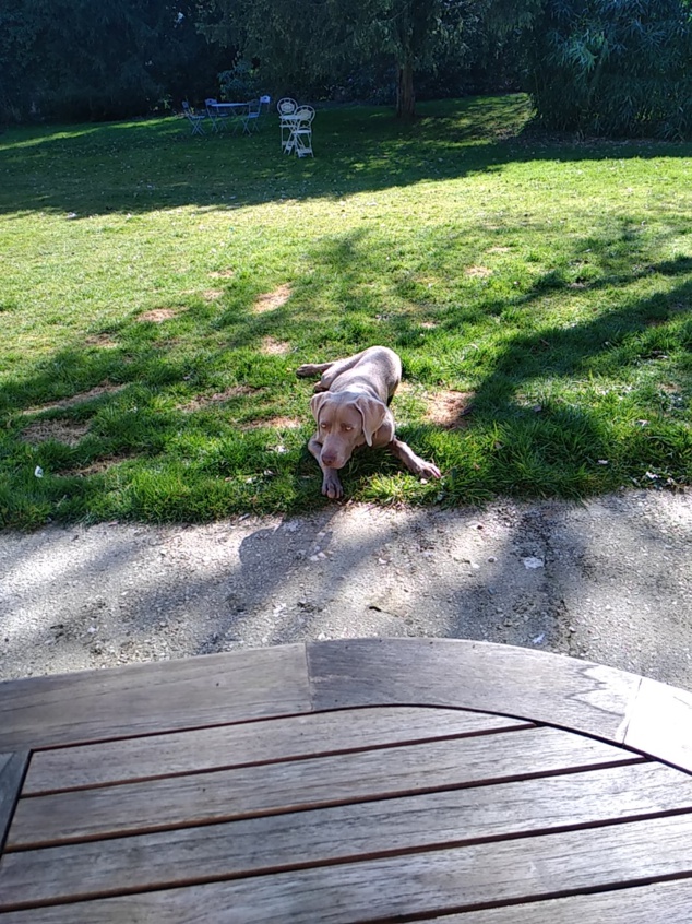 Oréo pour sa dernière leçon individuelle d'éducation Oréo pour sa dernière leçon individuelle d'éducation