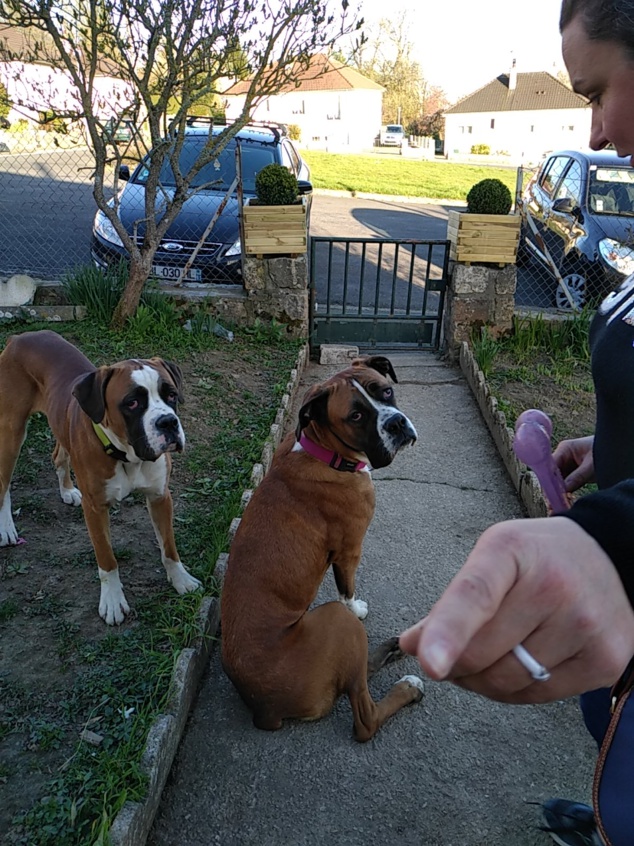 Cours éducation à domicile pour Ola et Orbane Cours éducation à domicile pour Ola et Orbane