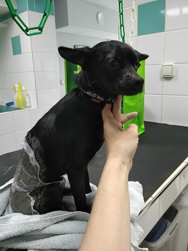 Formation Remise en Forme et soins algothérapie et argiles Formation Remise en Forme et soins algothérapie et argiles