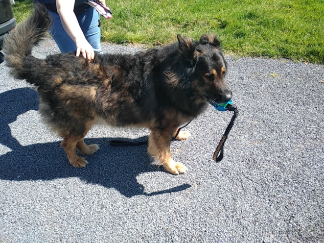 Ecco, a profité de son bain Ecco, a profité de son bain