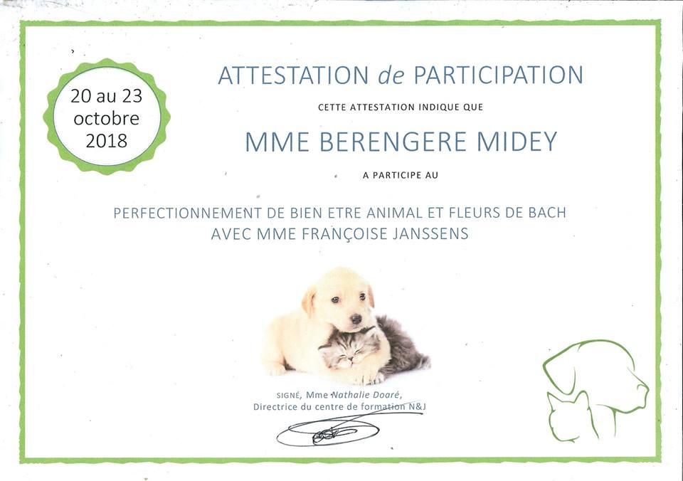 Perfectionnement Massage canin et fleurs de Bach Perfectionnement Massage canin et fleurs de Bach
