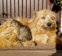 Accueil longue durée Accueil longue durée