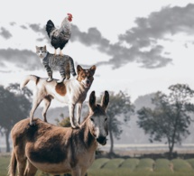 Visite chez vous Visite chez vous