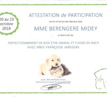 Perfectionnement Massage canin et fleurs de Bach