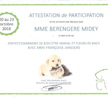Perfectionnement Massage canin et fleurs de Bach Perfectionnement Massage canin et fleurs de Bach