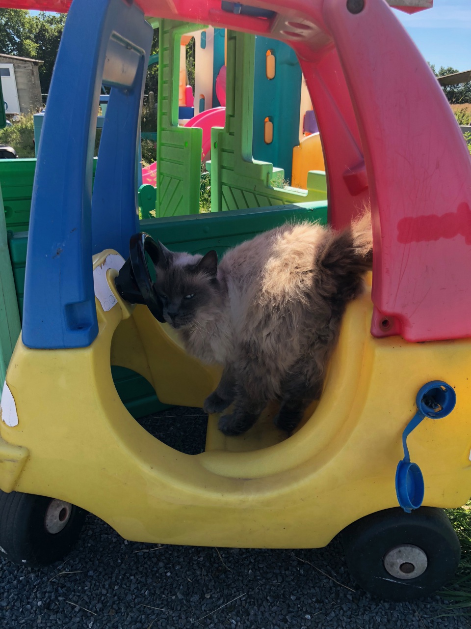 Découvrez l'univers de Quat'Pattes & Cie Découvrez l'univers de Quat'Pattes & Cie