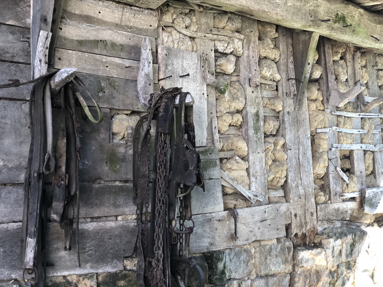 Découvrez l'univers de Quat'Pattes & Cie Découvrez l'univers de Quat'Pattes & Cie