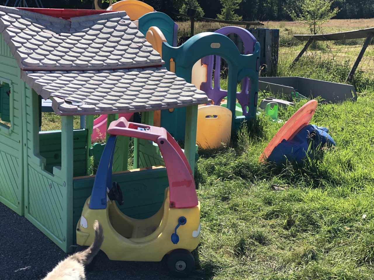 Découvrez l'univers de Quat'Pattes & Cie Découvrez l'univers de Quat'Pattes & Cie