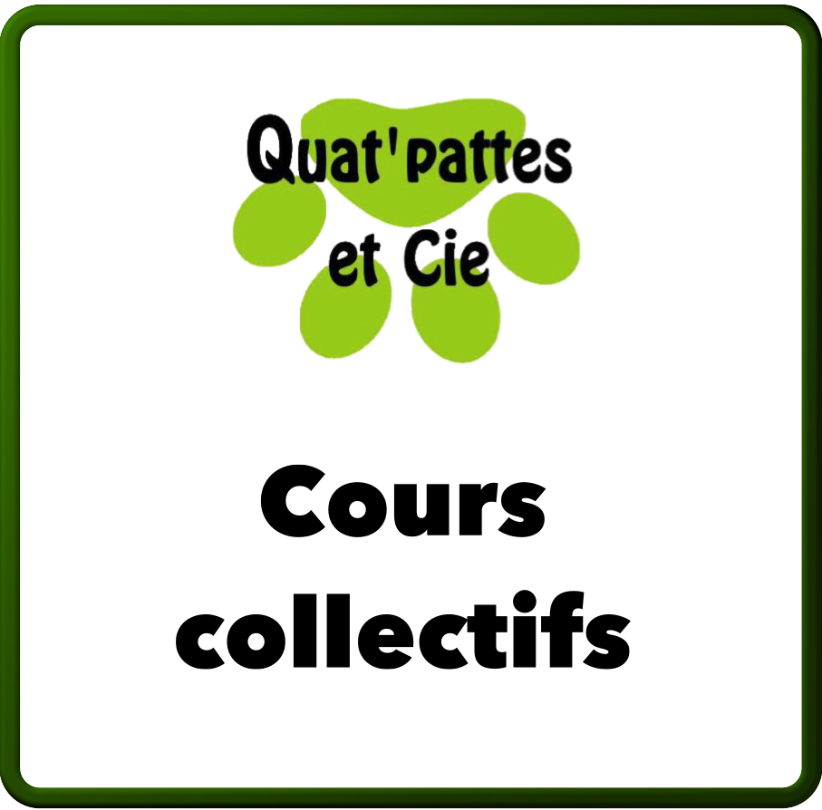 Nos-cours-collectifs_r22.html